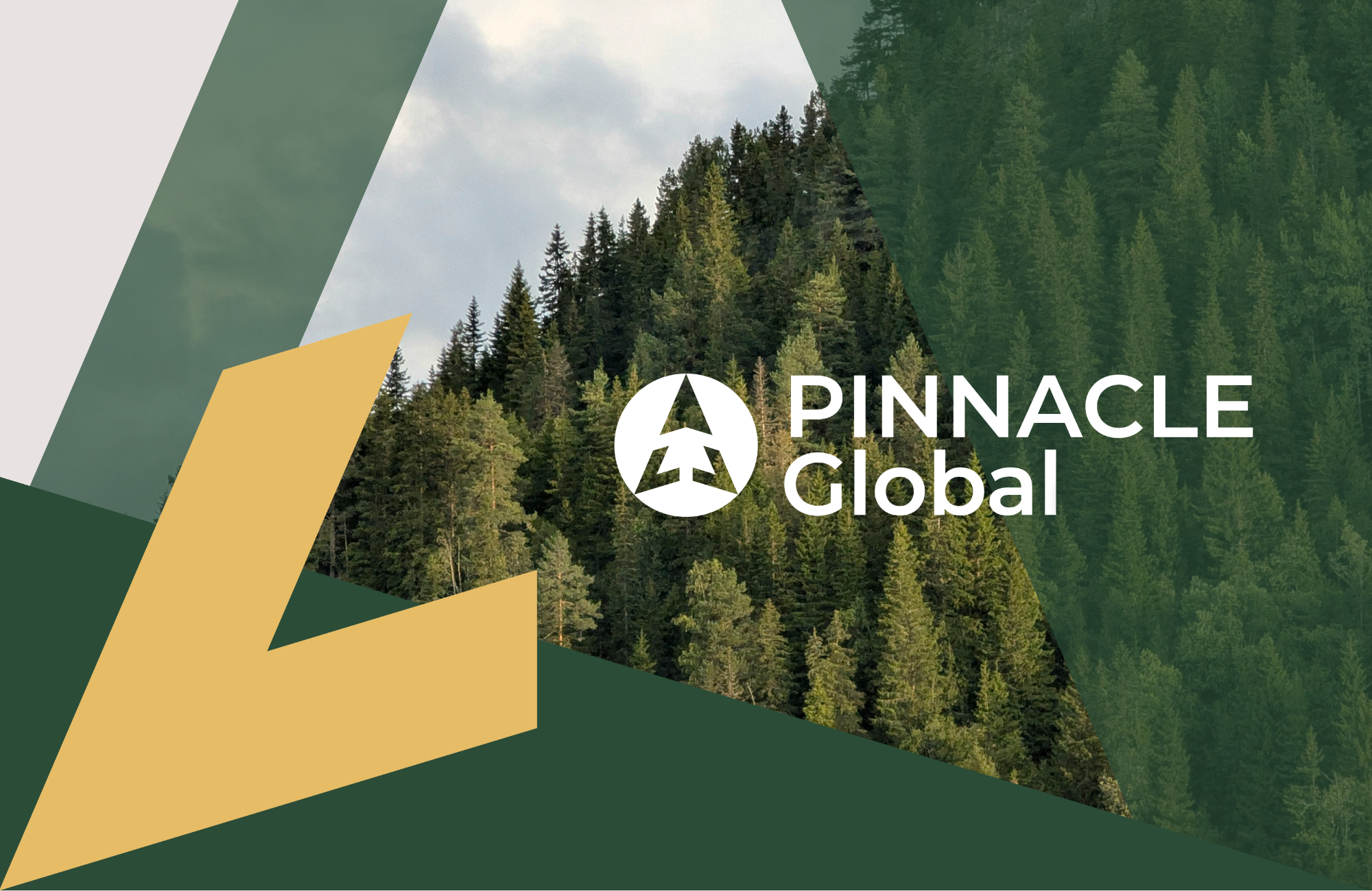 The Pinnacle Global Identity